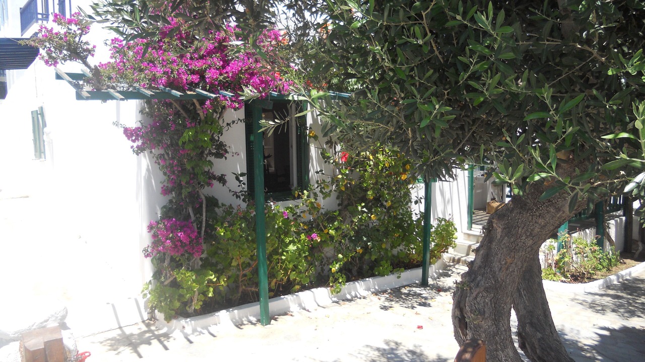 Photo of Outdoor in Platis Gialos