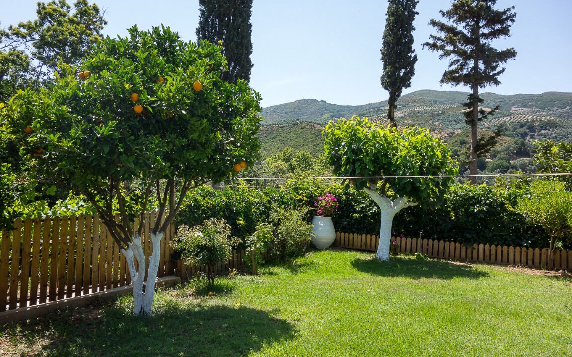 Photo of Outdoor in Dhris
