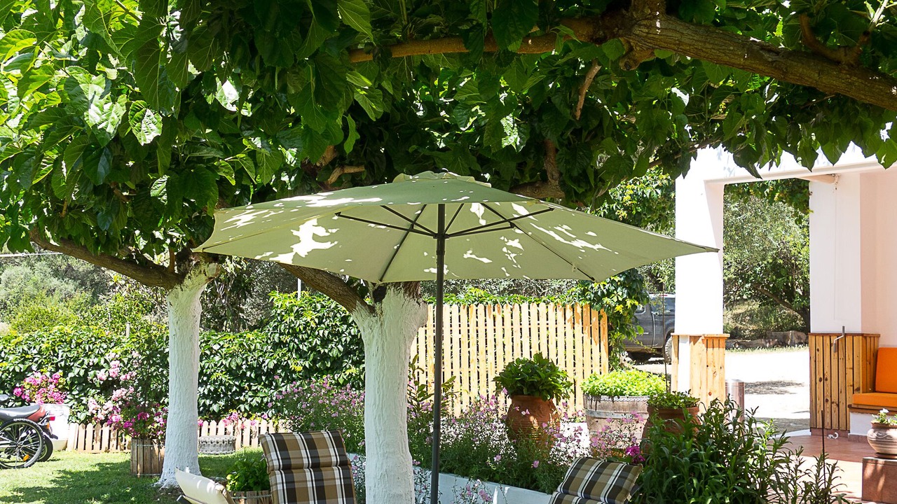 Photo of Outdoor in Dhris