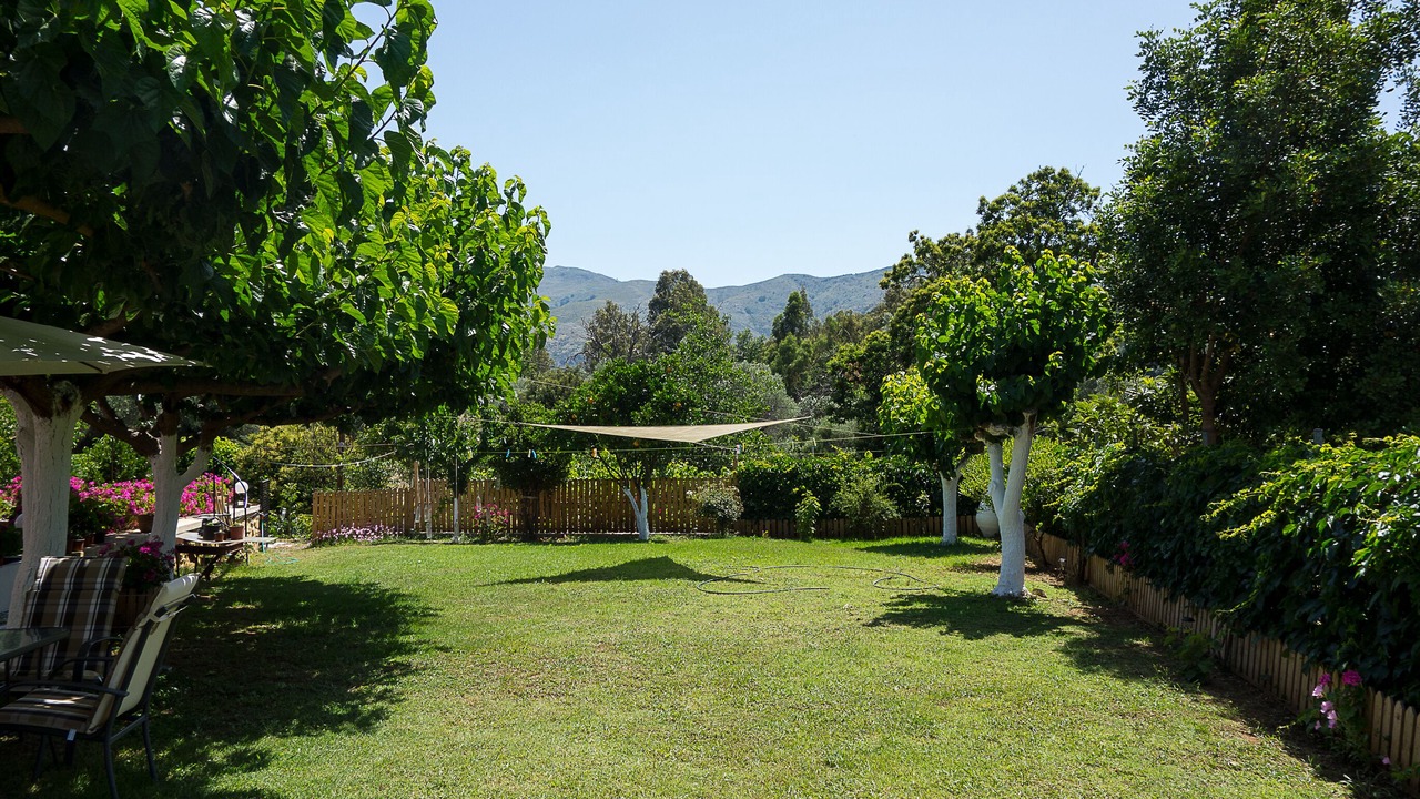 Photo of Outdoor in Dhris