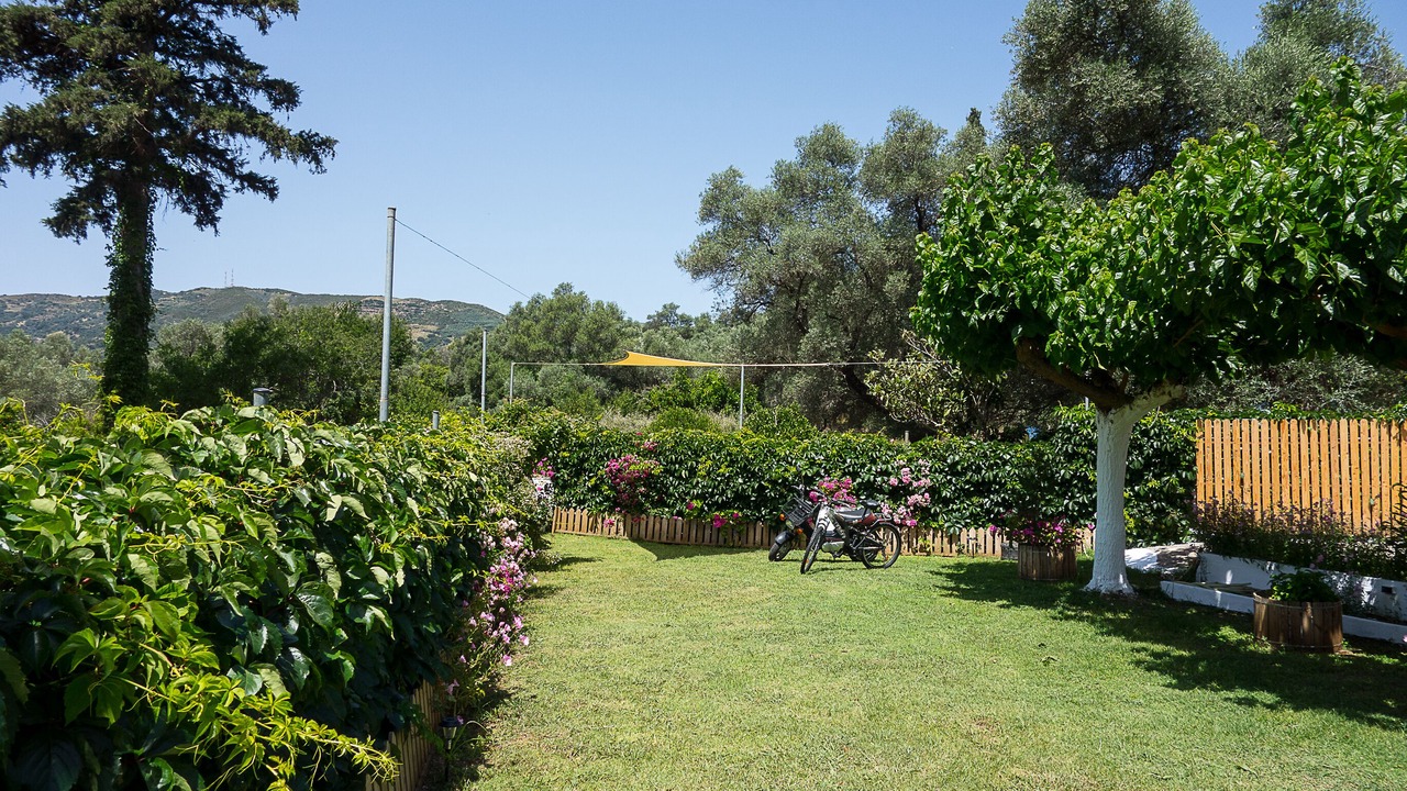 Photo of Outdoor in Dhris