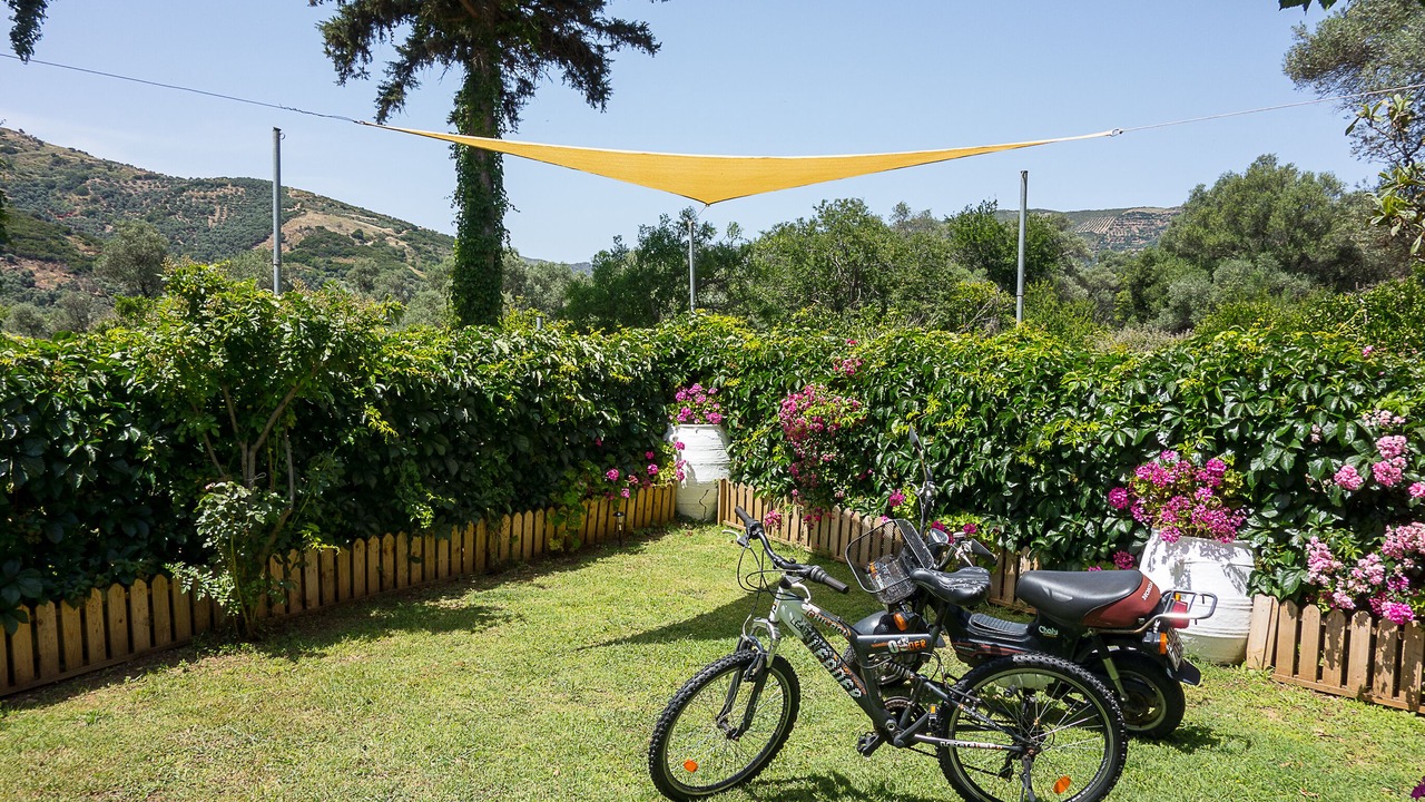 Photo of Outdoor in Dhris