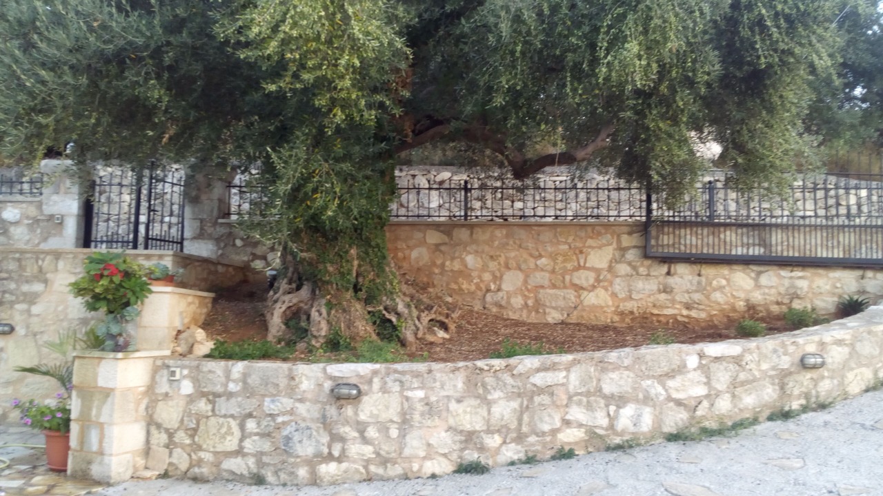 Photo of Outdoor in Tzitzifes