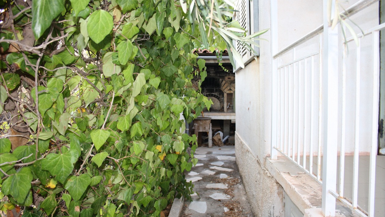 Photo of Outdoor in Lavreotiki