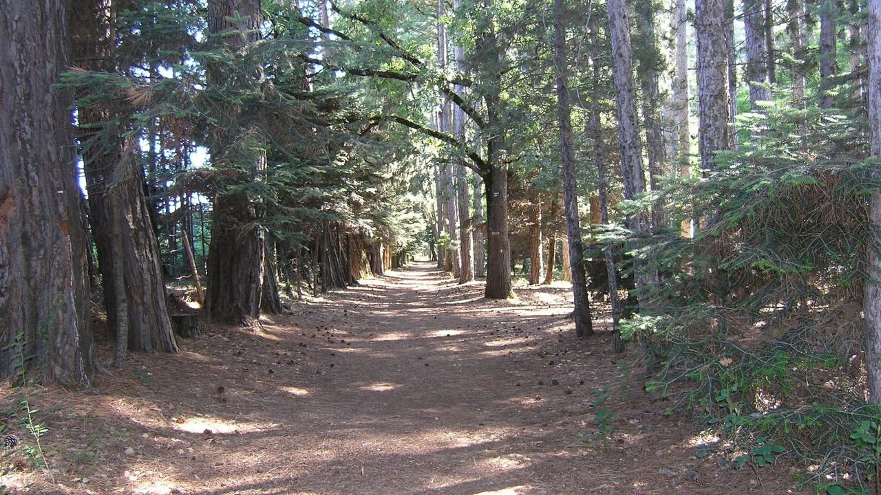 Photo of Outdoor in Vitina