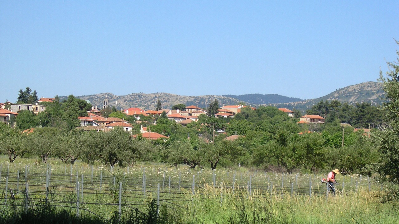 Photo of Outdoor in Vitina