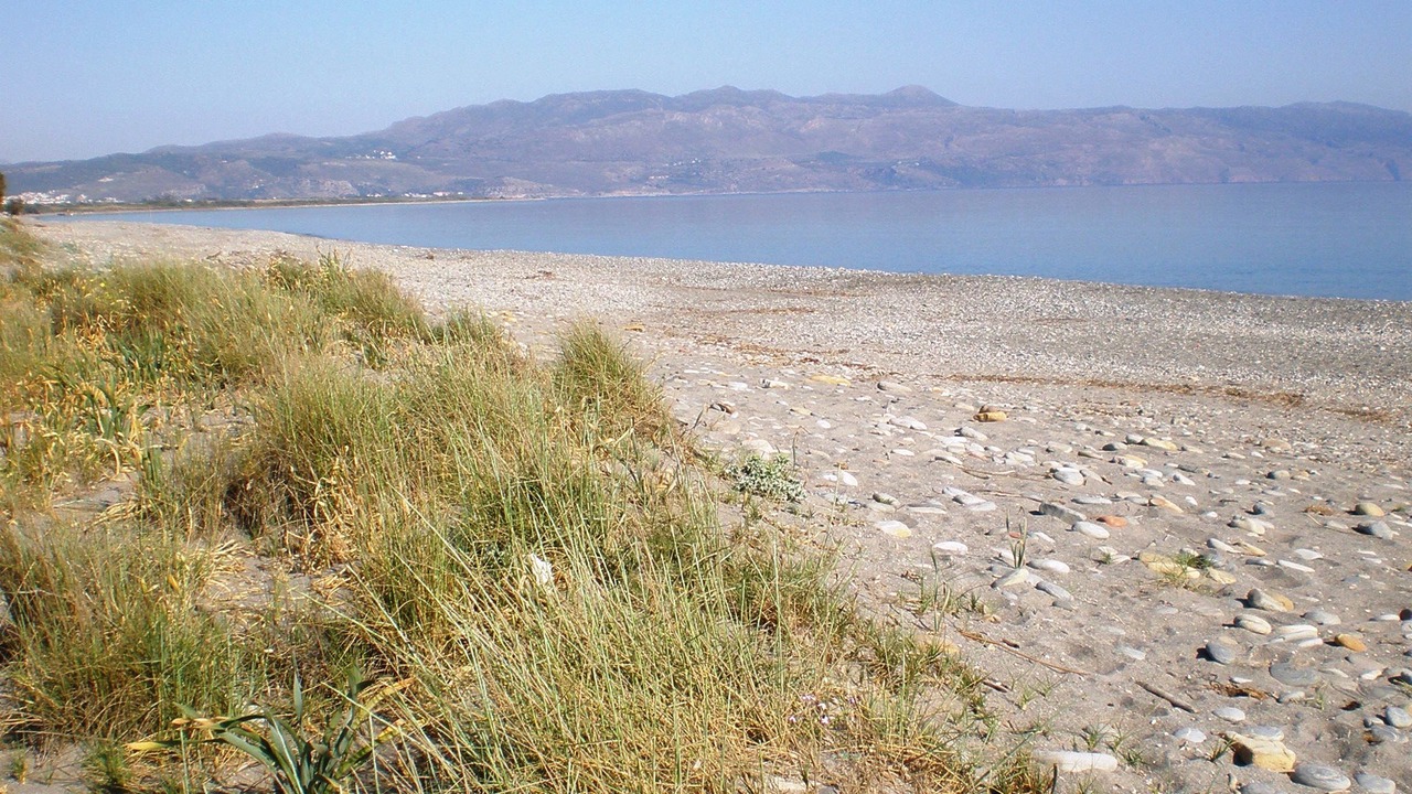 Photo of Others in Maleme