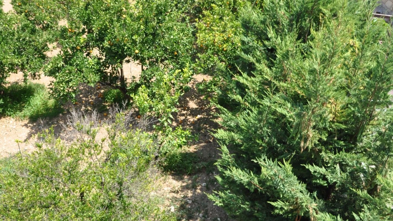 Photo of Outdoor in Geropotamos