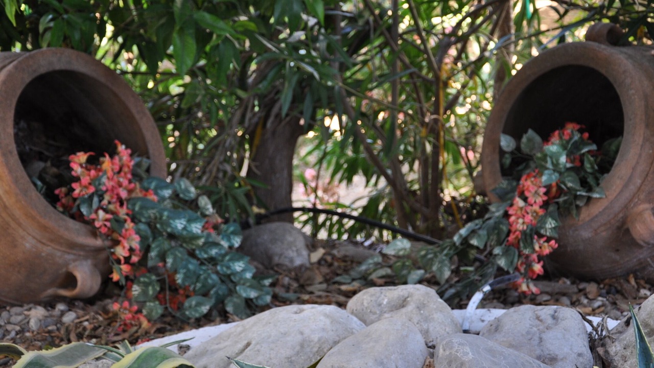 Photo of Outdoor in Geropotamos