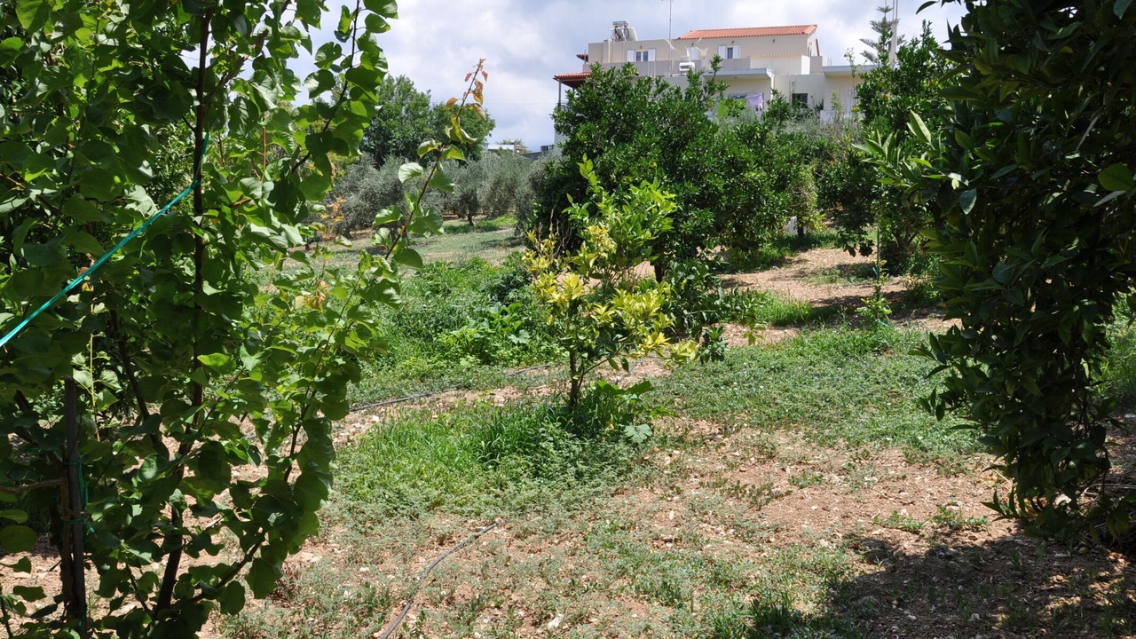 Photo of Outdoor in Geropotamos