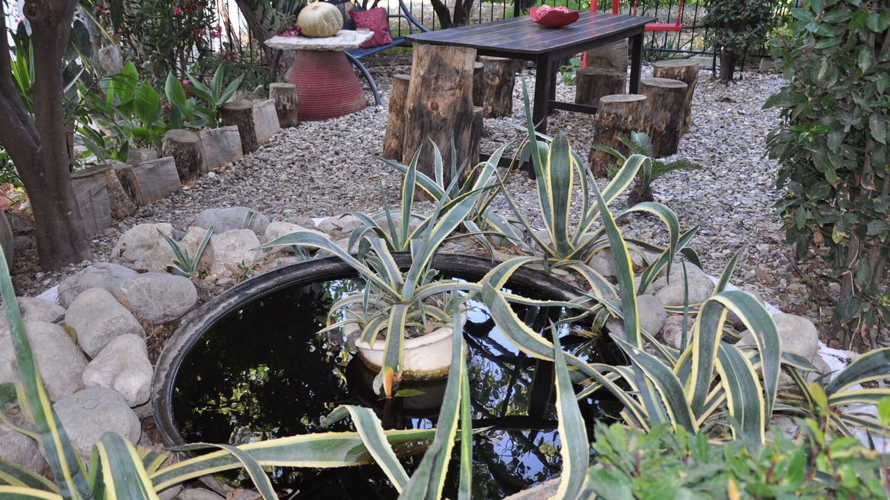Photo of Outdoor in Geropotamos