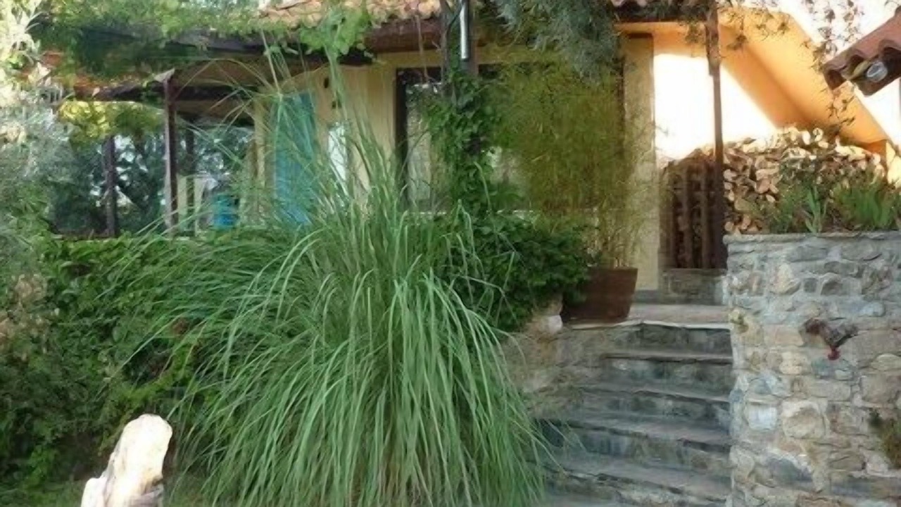 Photo of Outdoor in South Pelion