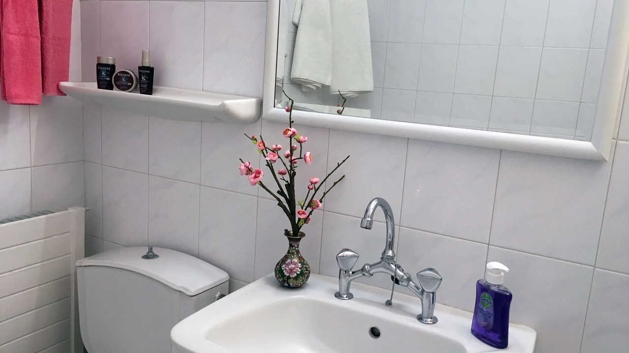 Photo of Bathroom in Kounopetra