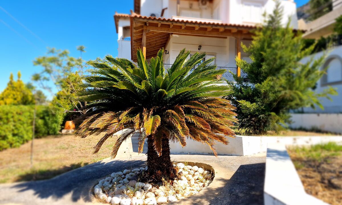 Photo of Outdoor in Ormos Agiou Ioannou