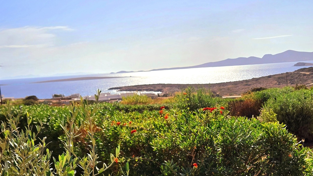 Photo of Others in Aliki