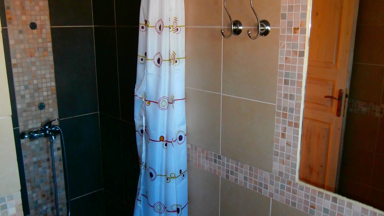 Photo of Bathroom in Skopelos