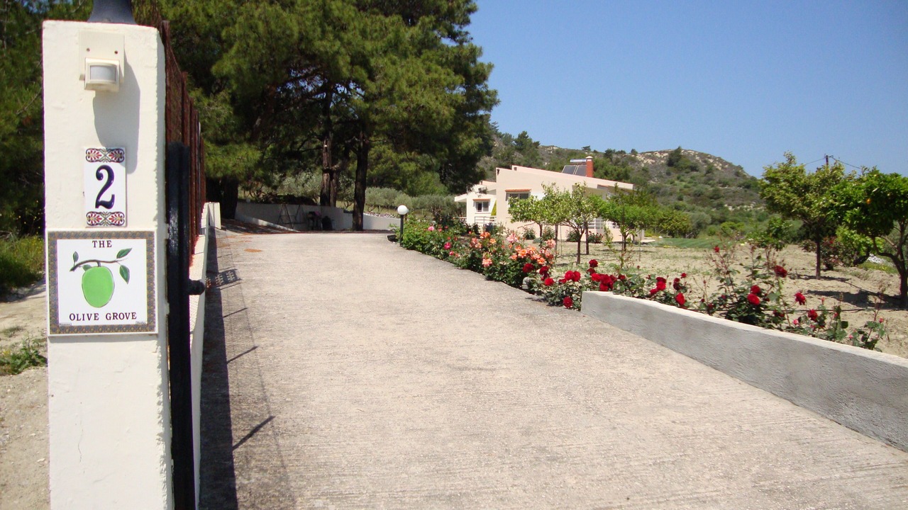 Photo of Outdoor in Theologos