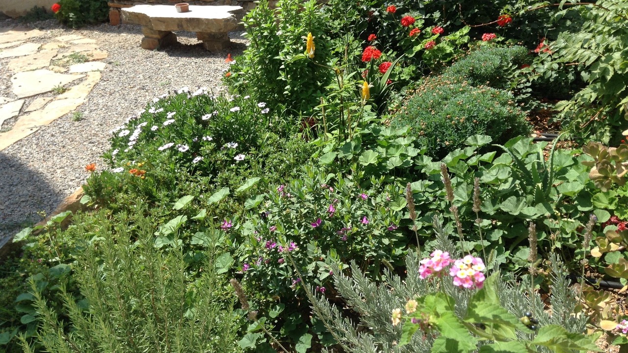 Photo of Outdoor in Neapoli