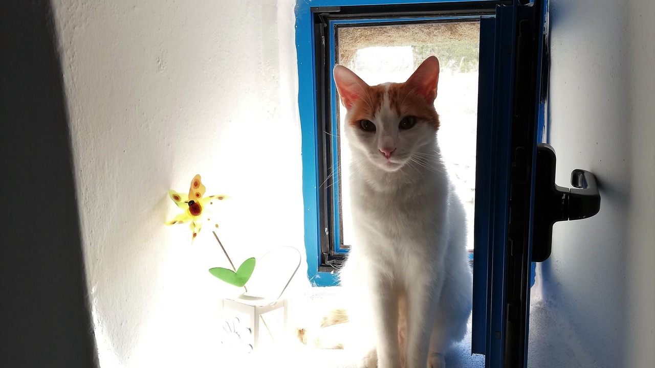 Photo of Others in Kithira