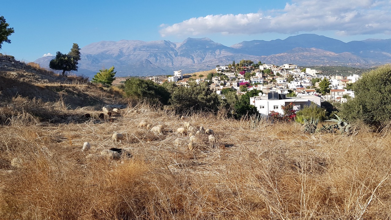 Photo of Outdoor in Kamilari