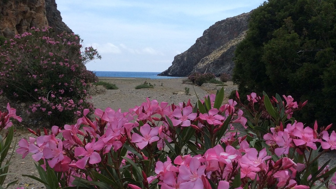 Photo of Outdoor in Kamilari