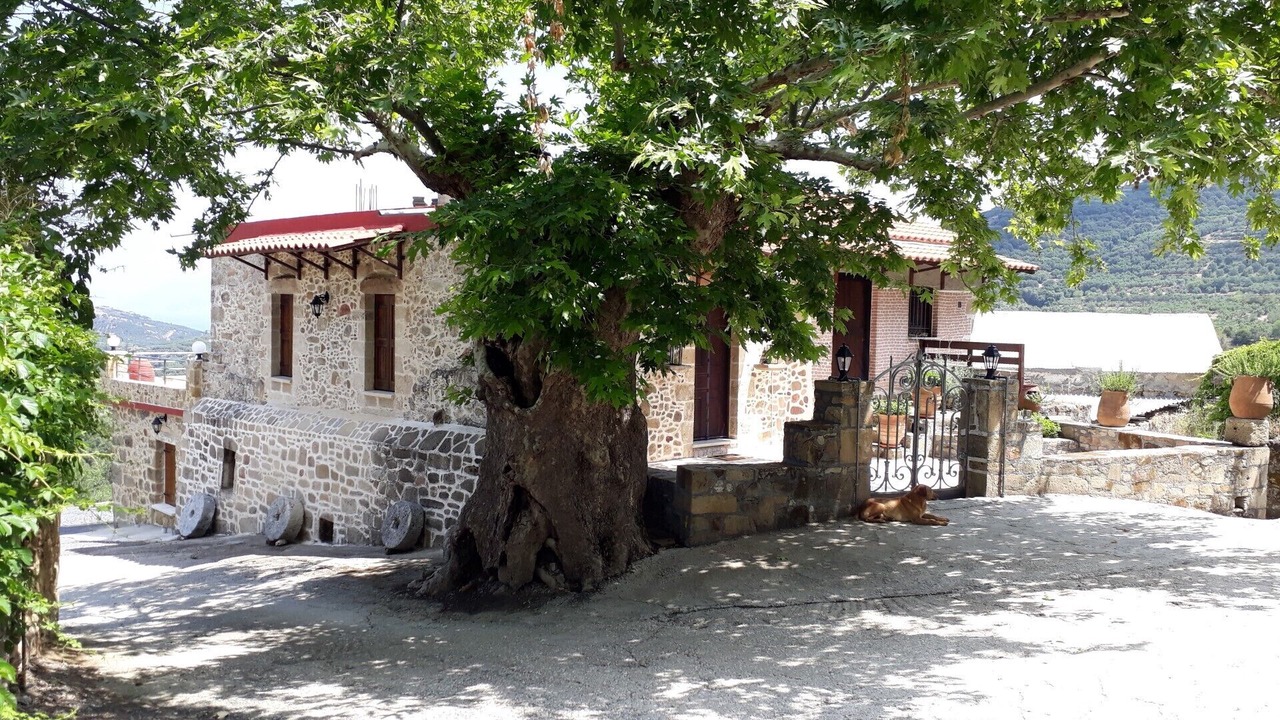 Photo of Outdoor in Koukounara