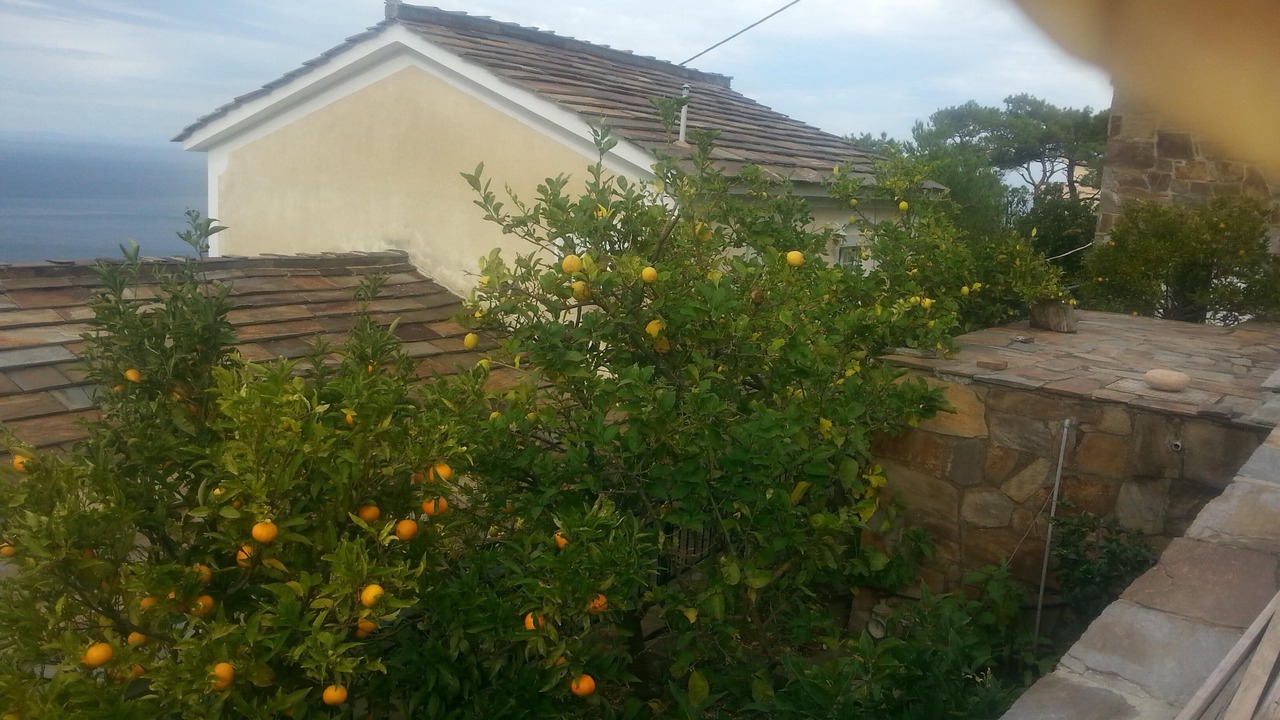 Photo of Outdoor in Gialiskari