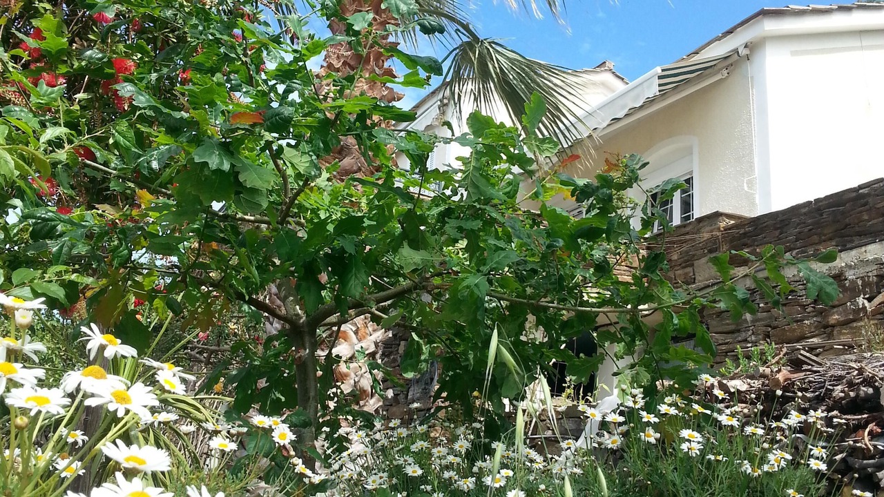 Photo of Outdoor in Gialiskari