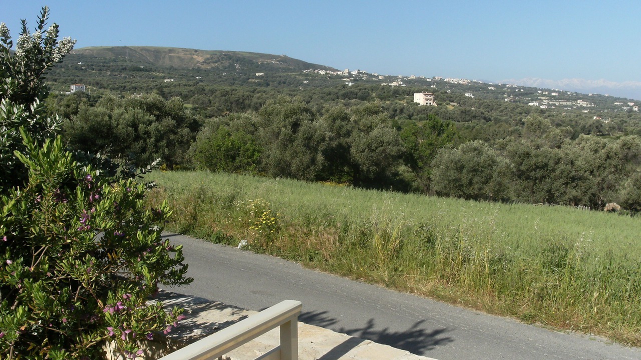 Photo of Others in Pigi