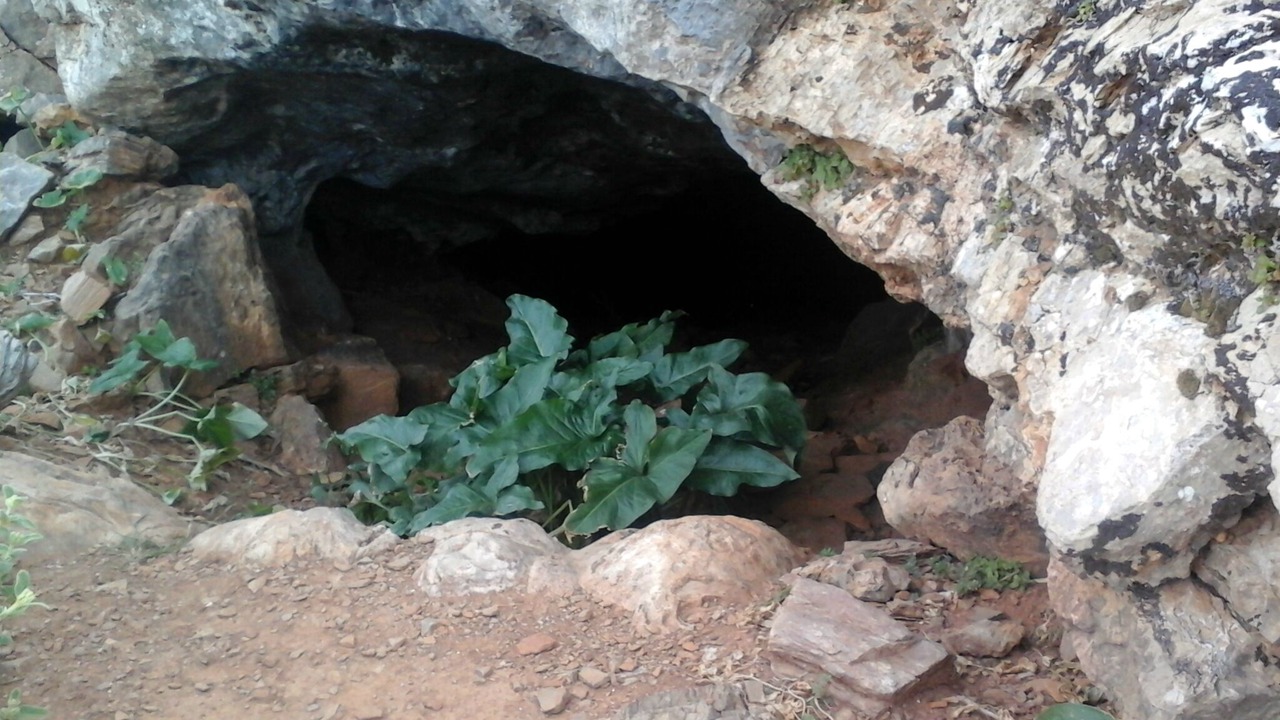Photo of Outdoor in Kavousi