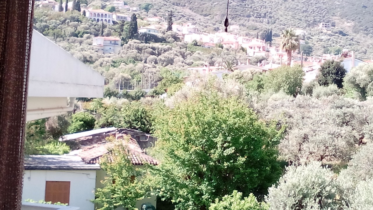 Photo of Others in Mytilene