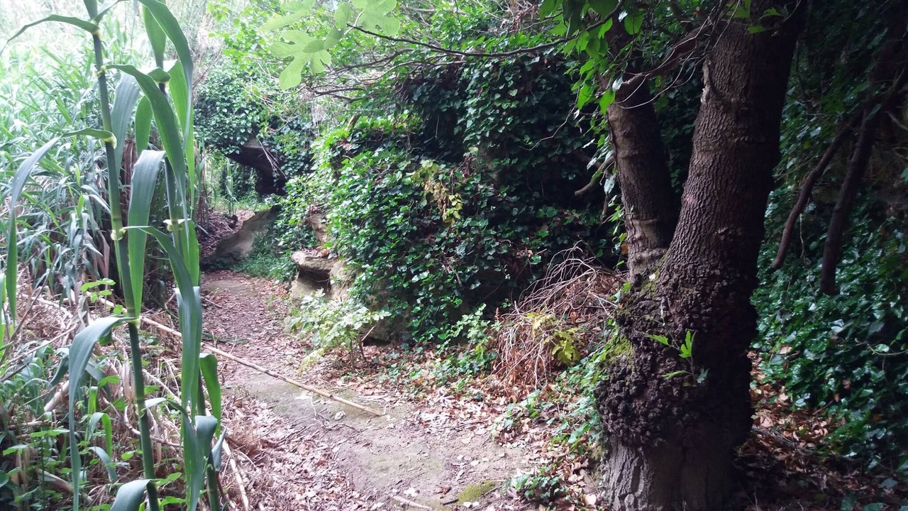 Photo of Outdoor in Mixorrouma