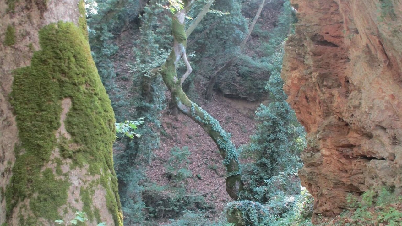 Photo of Outdoor in Mixorrouma