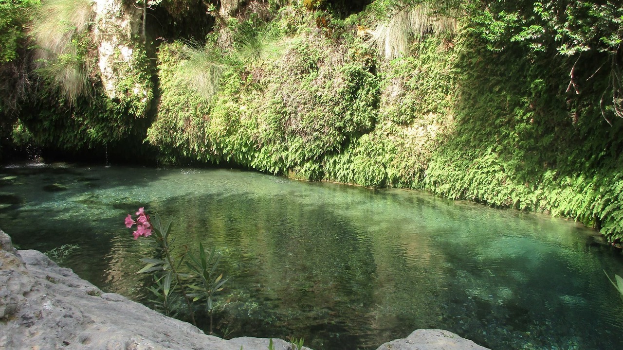 Photo of Others in Mixorrouma