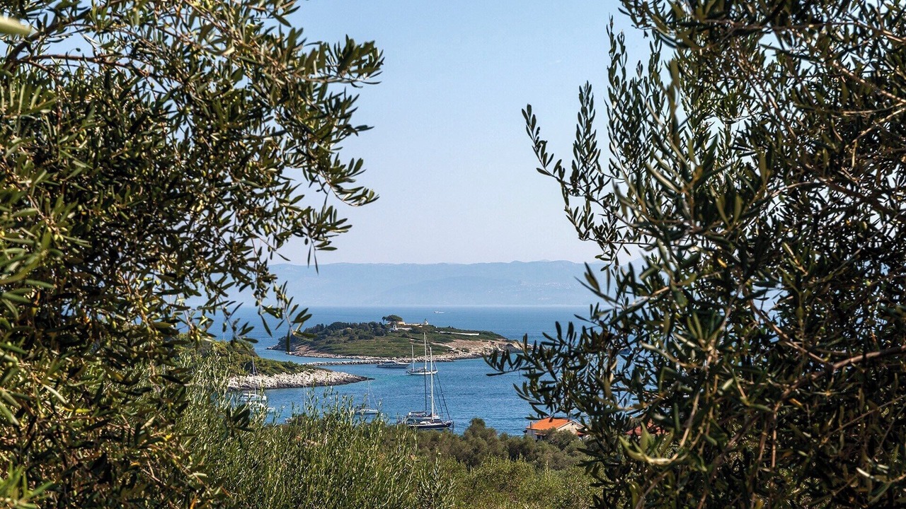 Photo of Others in Gaios