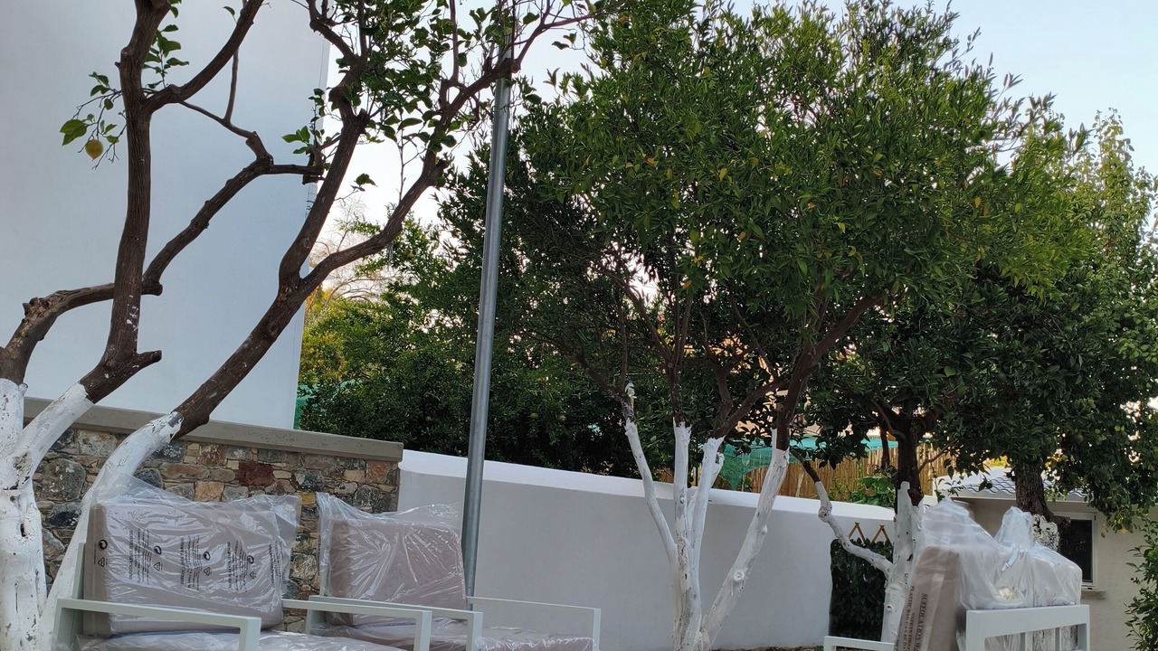 Photo of Patio Balcony in Mytilene