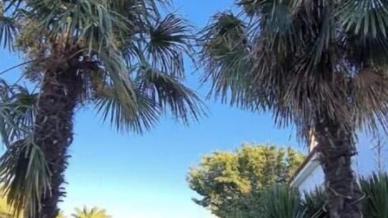Photo of Outdoor in Kalloni