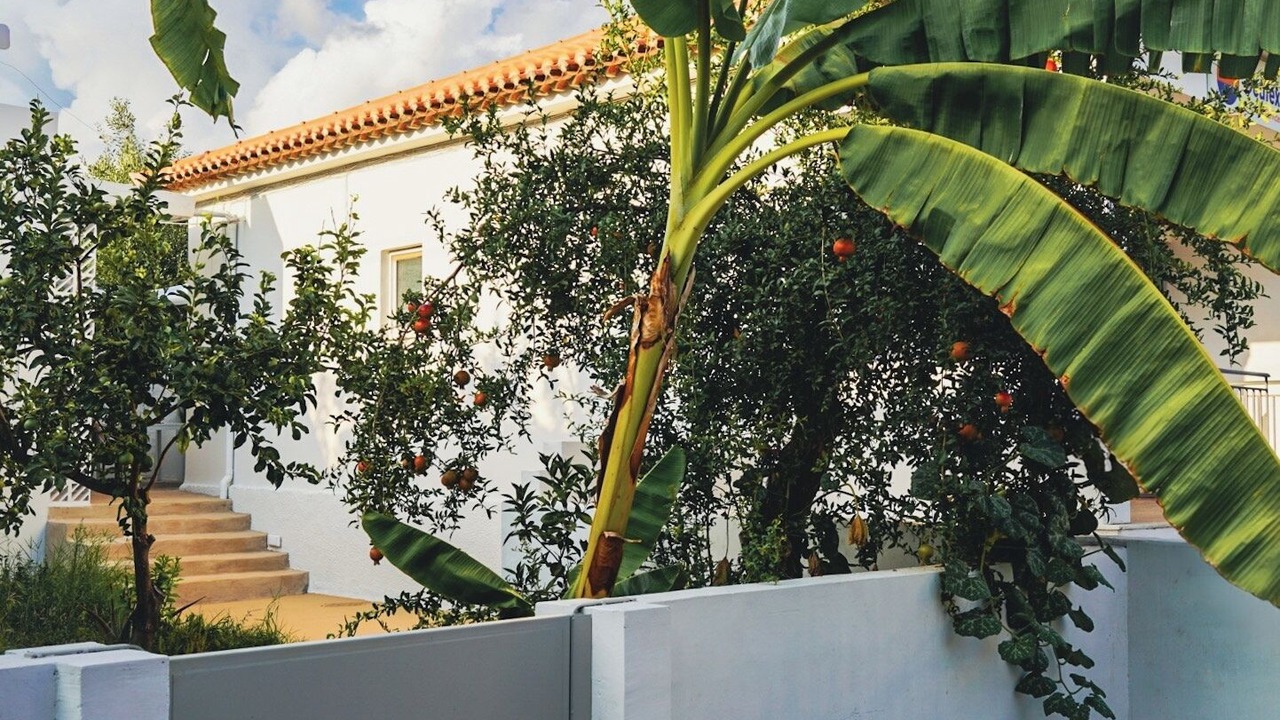 Photo of Outdoor in Stoupa
