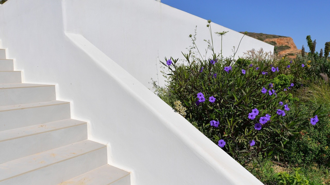 Photo of Outdoor in Stelida