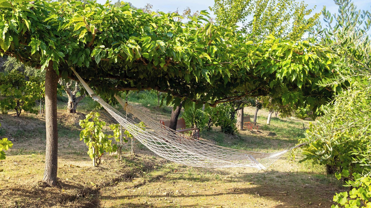 Photo of Outdoor in Messini