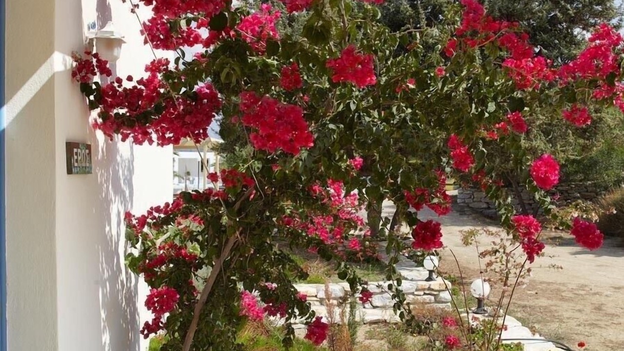 Photo of Outdoor in Agios Prokopios