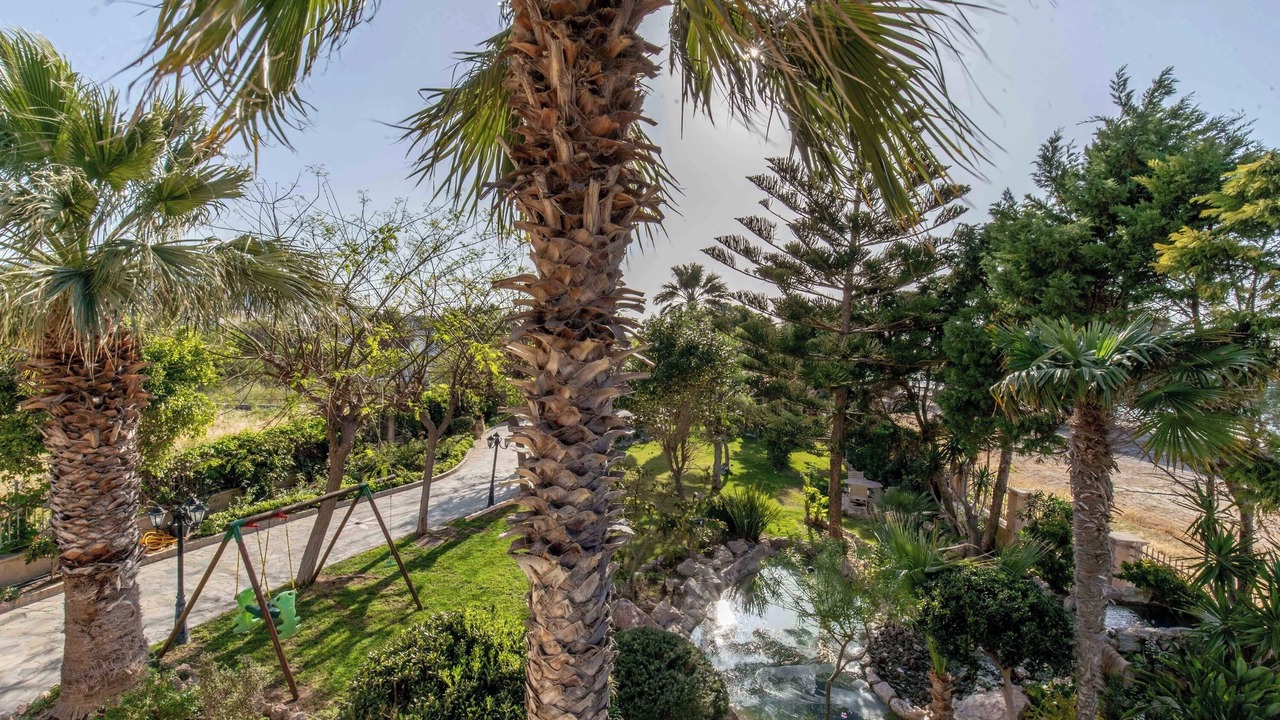 Photo of Outdoor in Petaloudes