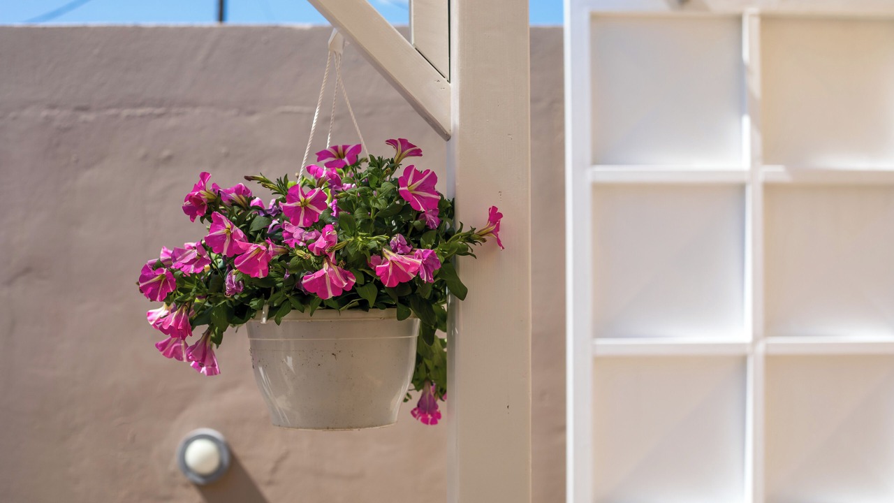Photo of Outdoor in Petaloudes