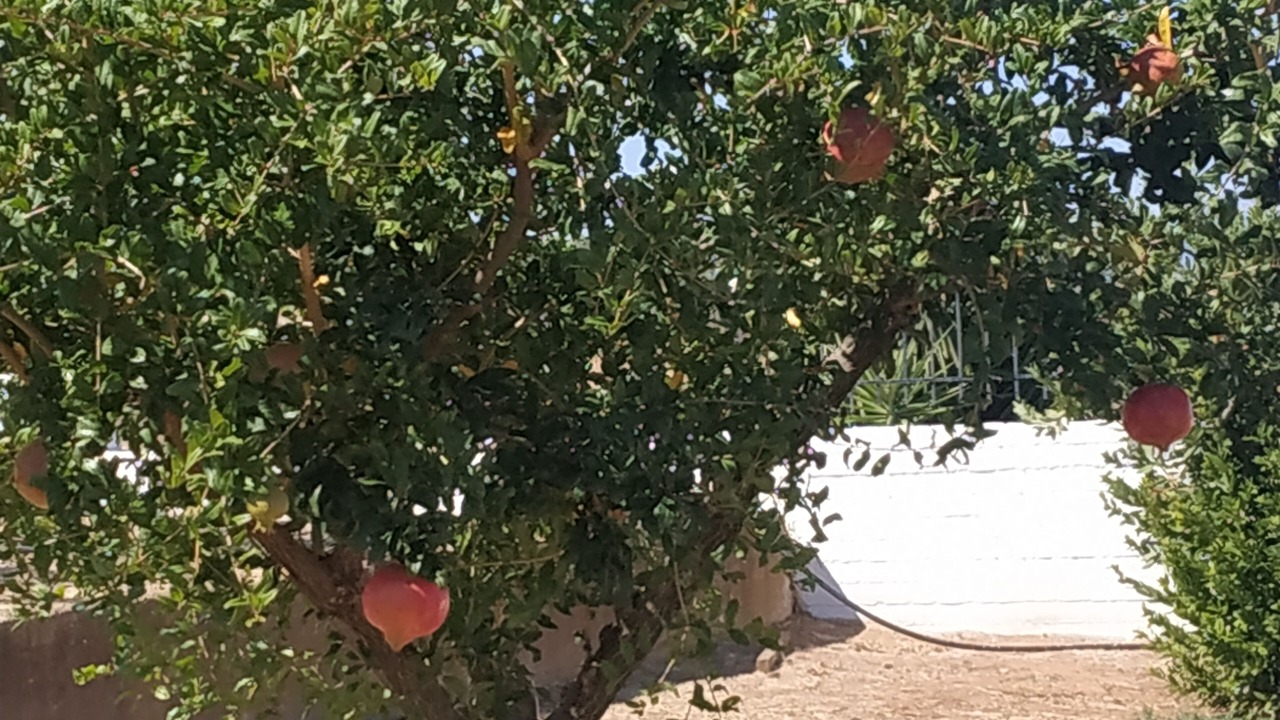 Photo of Outdoor in Korithion