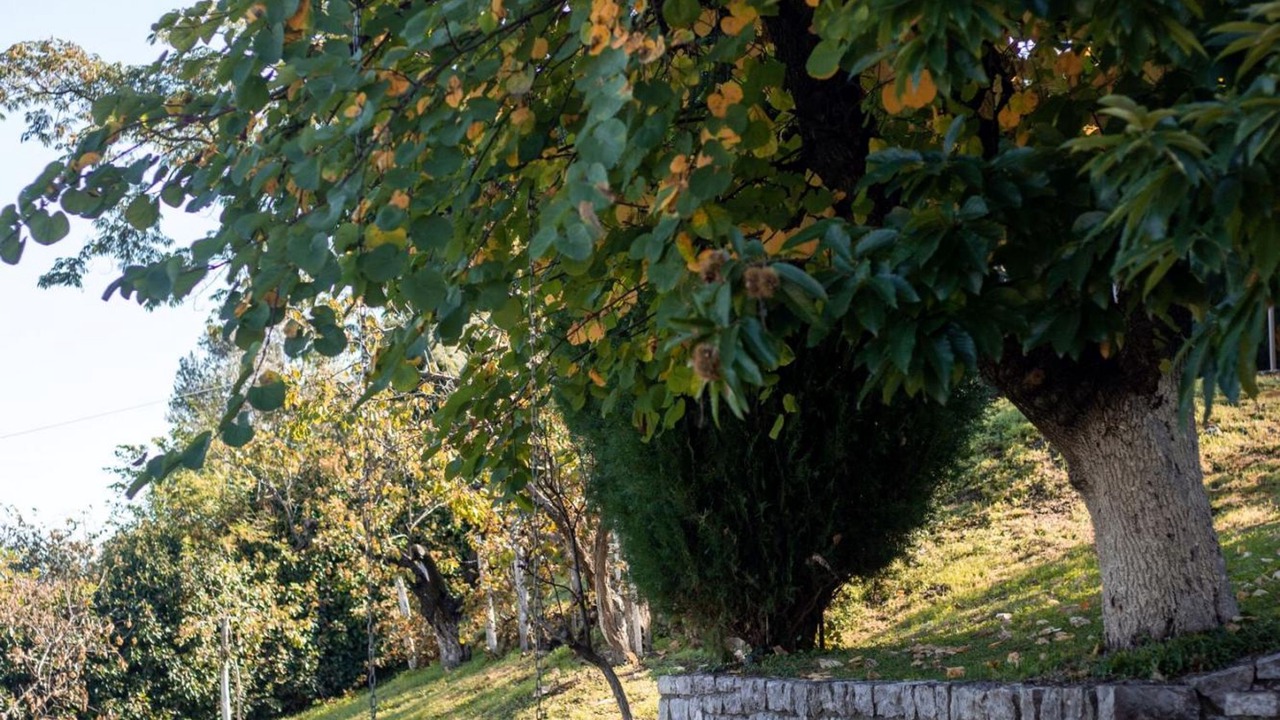Photo of Outdoor in Lake Plastiras