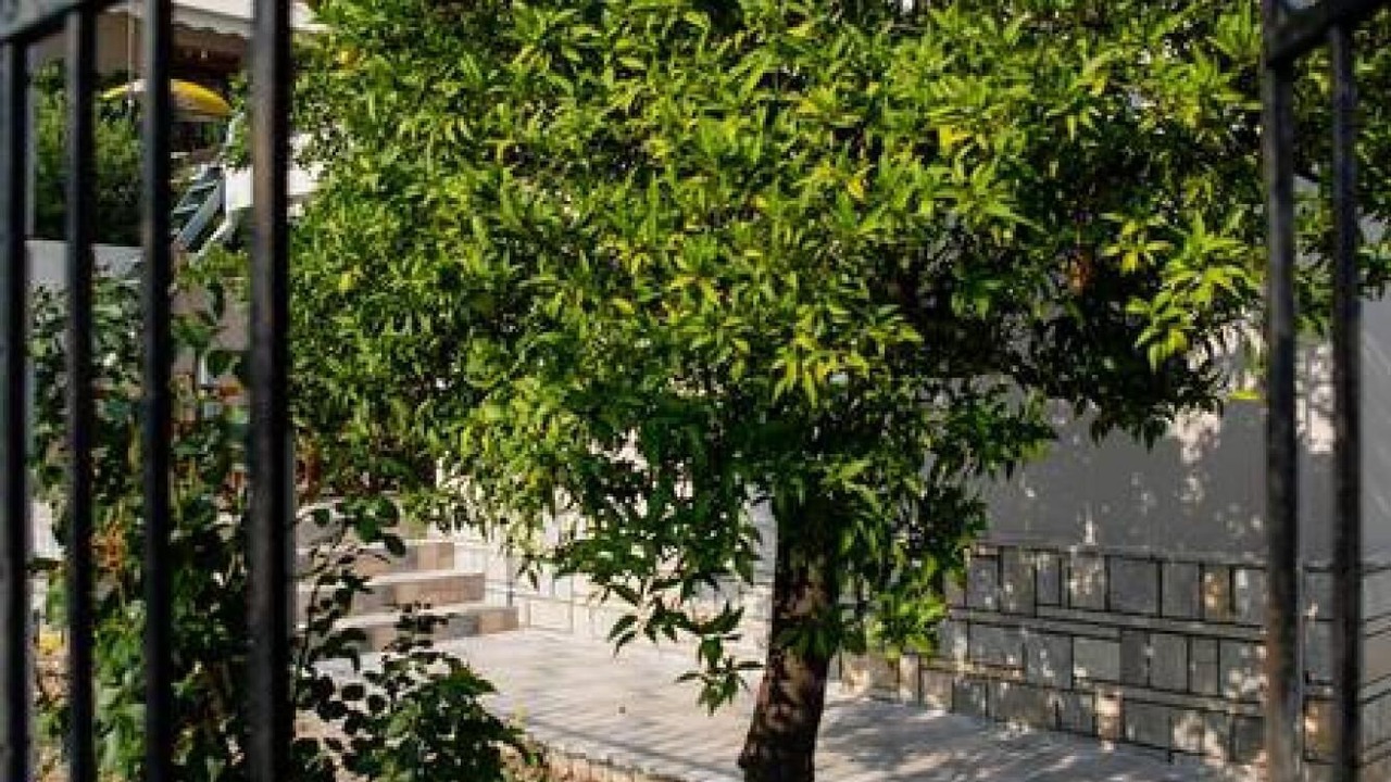 Photo of Outdoor in Agria