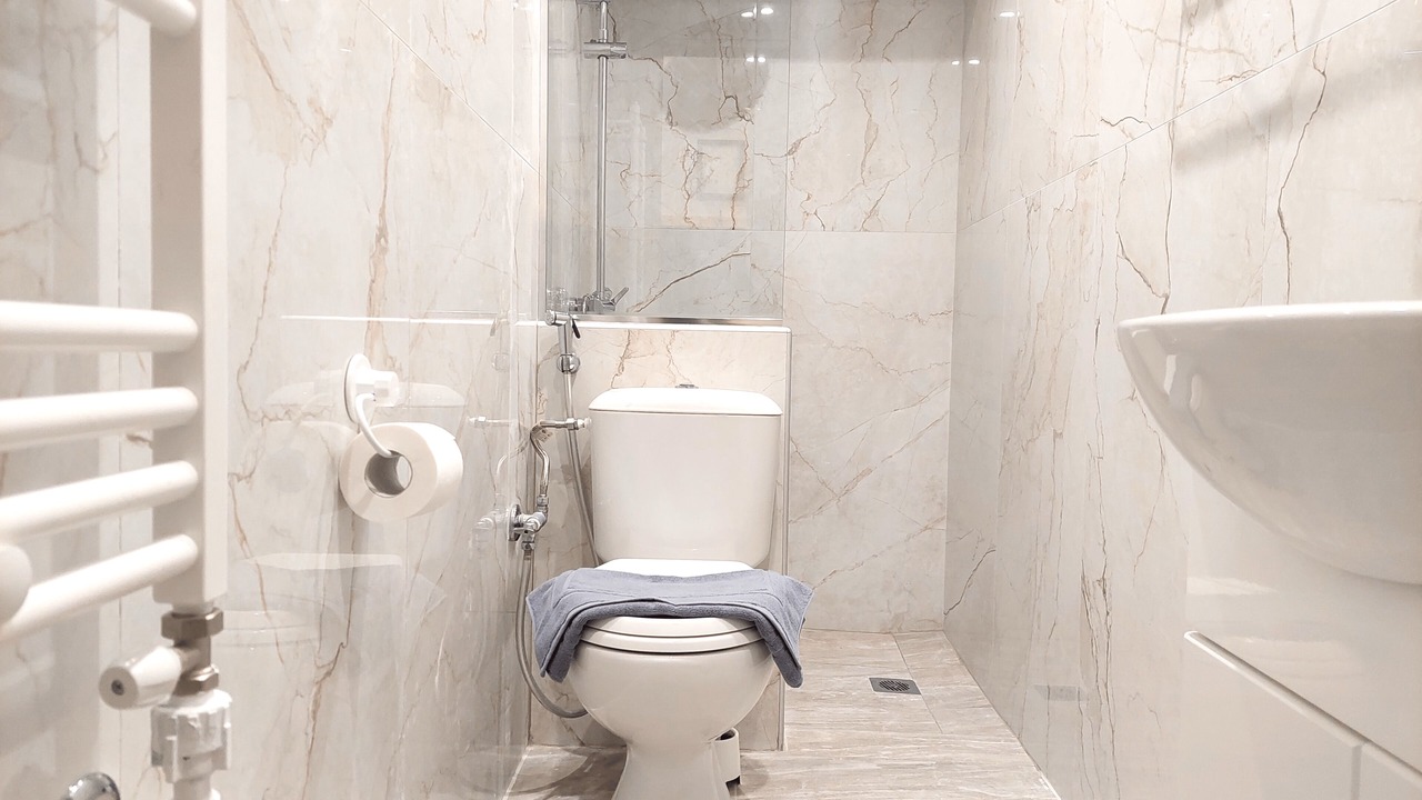 Photo of Bathroom in Evosmos