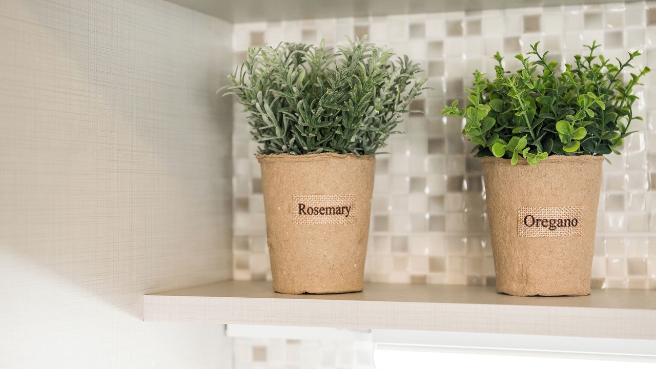 Photo of Others in Maleme