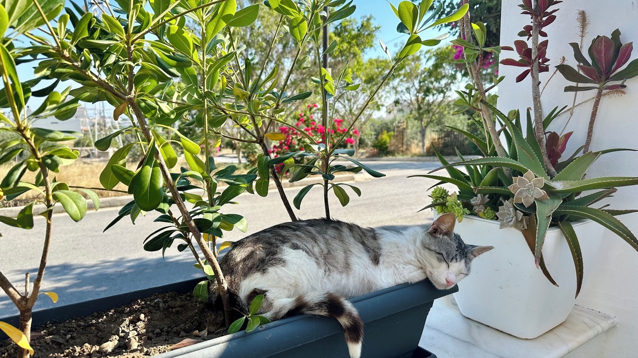 Photo of Outdoor in Ierapetra