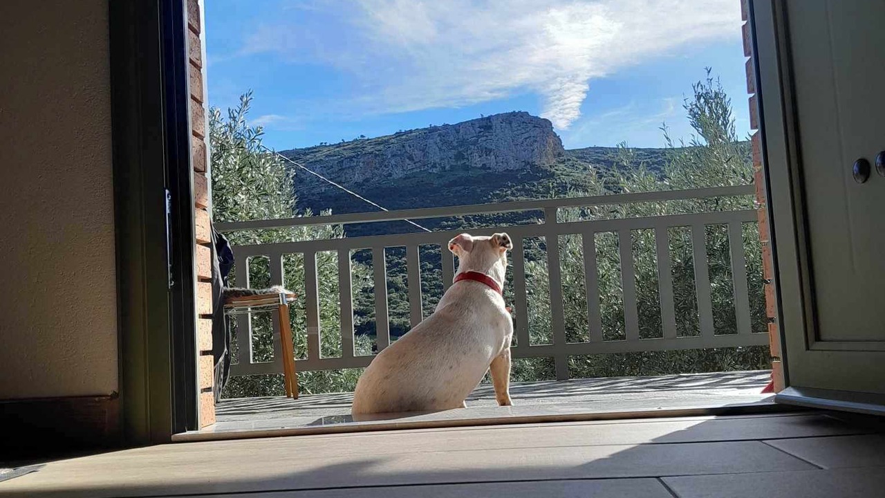 Photo of Others in Argos-Mykines